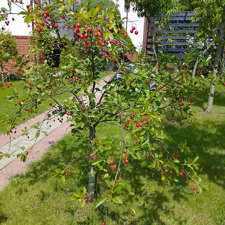Taka Cisza Taki Spokoj Rum i privatbostad Kołobrzeg