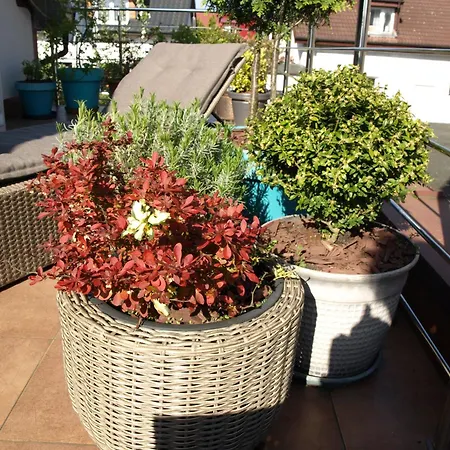 Taka Cisza Taki Spokoj Kwatera prywatna