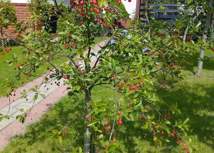 Taka Cisza Taki Spokoj منزل للإقامة كولوبرزيغ